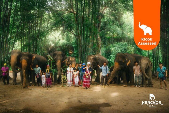 Chiang Mai Kerchor Elephant Eco Park Tour (dari Chiang Mai)