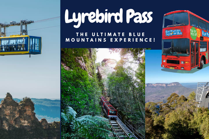Blue Mountains Hop-On-Hop-Off Bus Pass dengan Tiket Opsional Scenic World