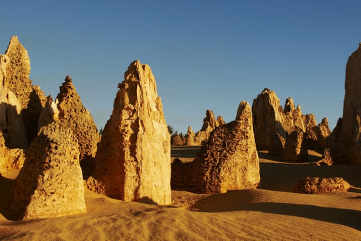 Tur Grup Kecil Sehari Pinnacles dan Lancelin dari Perth