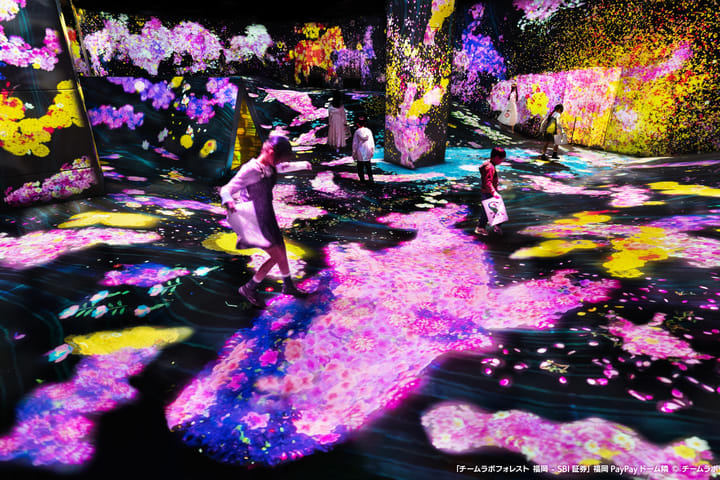 teamLab Forest Fukuoka Ticket