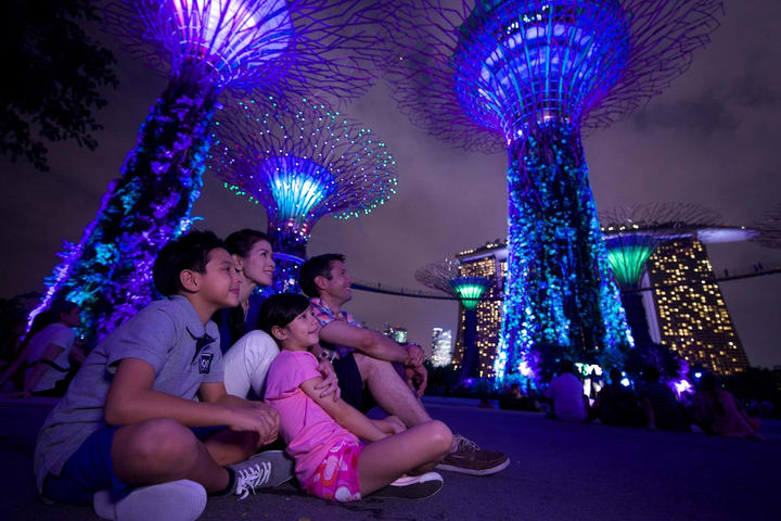 Singapore River Cruise & Gardens by the Bay Evening Tour