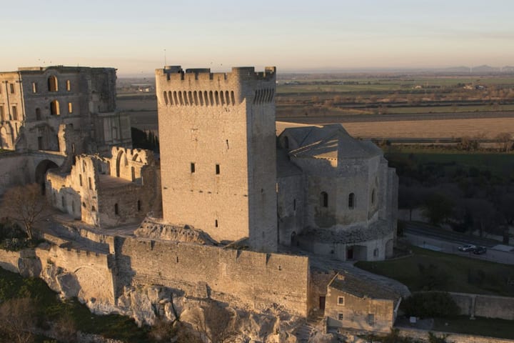 Abbey of Montmajour ticket in Arles