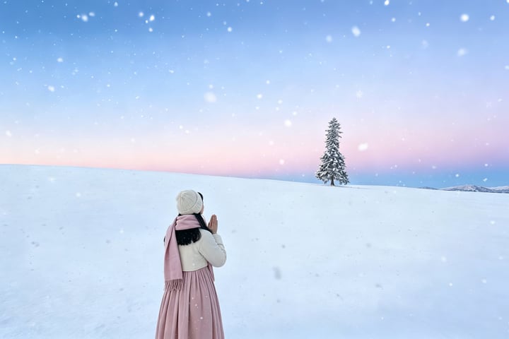 Tur Sehari Penuh Hokkaido Asahikawa Biei Klasik: Kebun Binatang Asahiyama & Air Terjun Shirasu & Kolam Biru Shirogane & Pohon Natal Biei (Berangkat dari Sapporo)