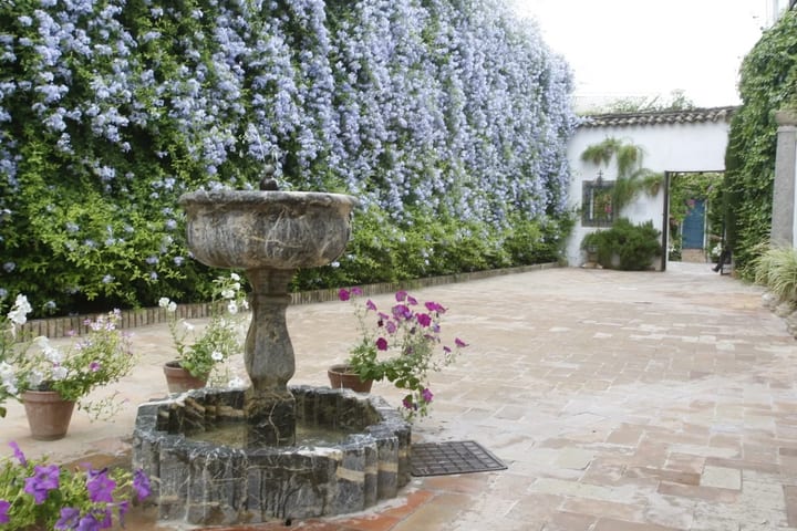 Cordoba Viana Patios Ticket