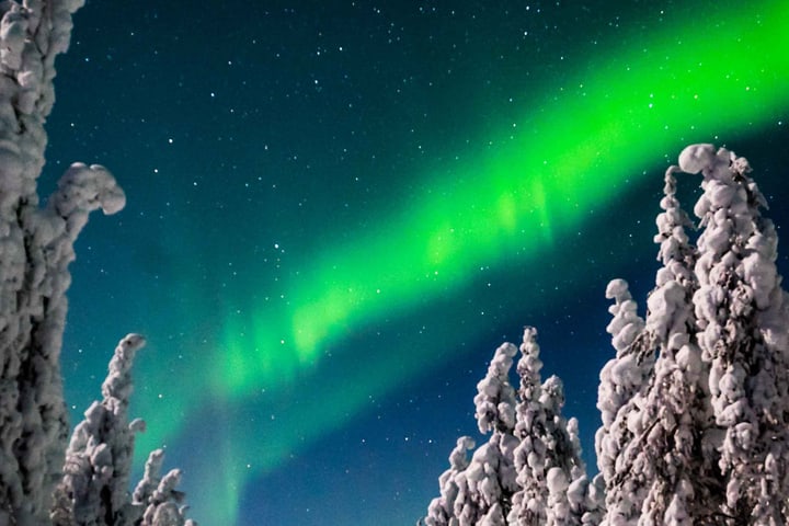 Discover the northern lights tour in Rovaniemi