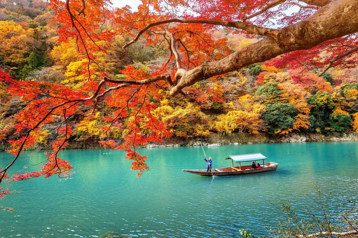 Berangkat dari Osaka丨Tur Satu Hari Sewa Mobil Pribadi yang Disesuaikan di Wilayah Kansai (Osaka/Kyoto/Nara/Kobe/Wakayama)