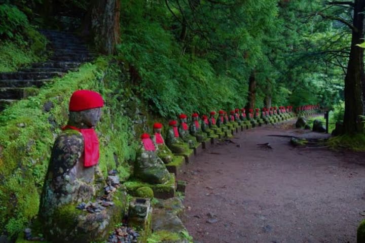 Tokyo Nikko Private Full-Day Tour with Transfers