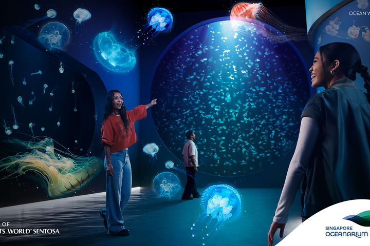 Tiket Singapore Oceanarium