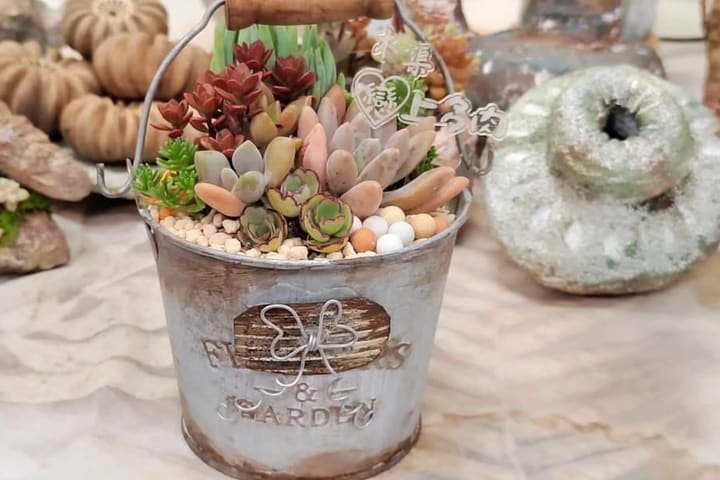 Yilan: Pengalaman DIY Pot Tanaman Sukulen