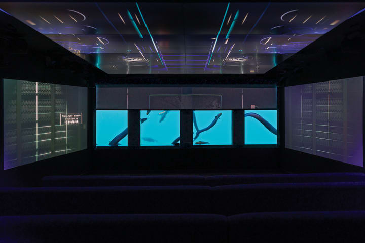 Time Tripper Underwater Adventure Admission Ticket