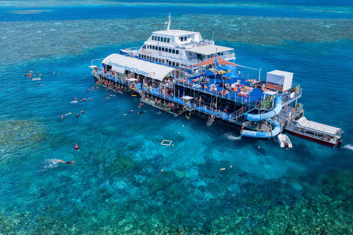Outer Reef Pontoon Full Day Tour at Moore Reef