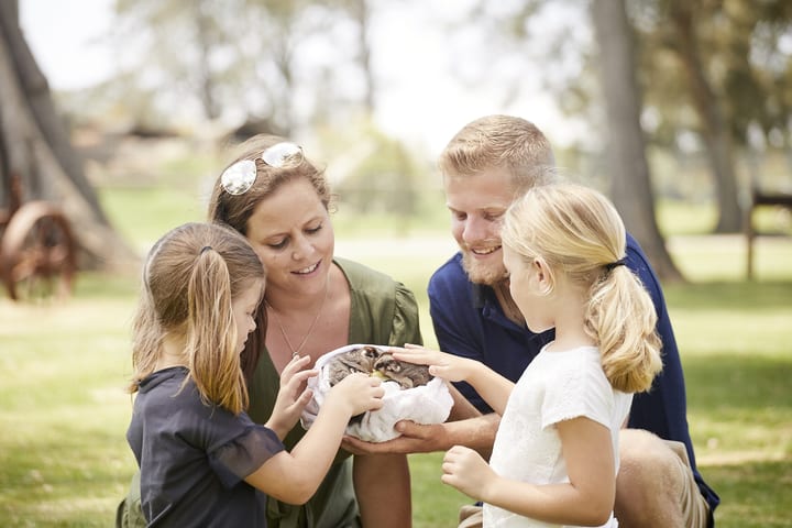 Tiket Oakvale Wildlife Park