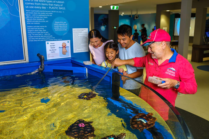 Dolphin Discovery Centre Ticket in Bunbury