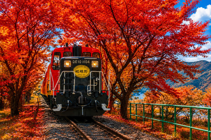 Tur Sehari Kereta Wisata Arashiyama Kyoto & Pengalaman Arung Jeram Hozugawa (Keberangkatan dari Osaka / Kyoto)