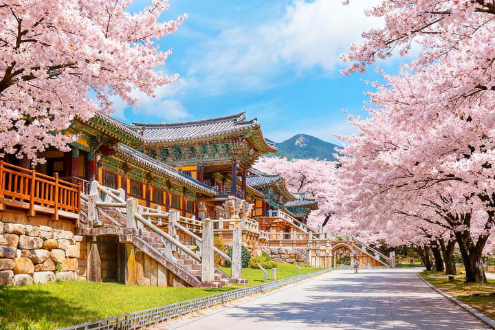 Tur Terpandu Situs UNESCO Sehari Penuh Gyeongju