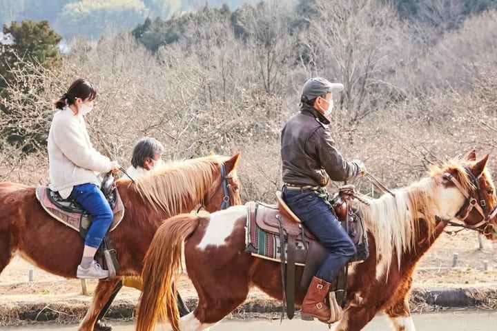 茨城｜筑波山骑马体验