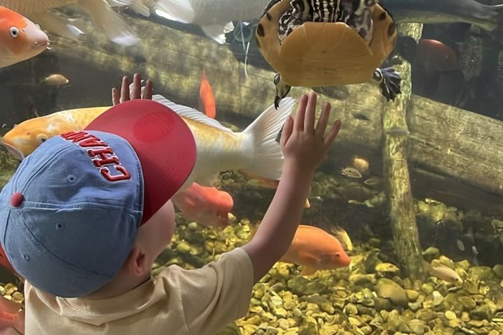 休斯顿互动水族馆和动物保护区门票