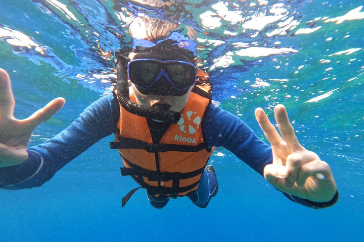Bear Diving - Pengalaman Snorkeling Xiaoliuqiu (termasuk layanan fotografi bawah air)