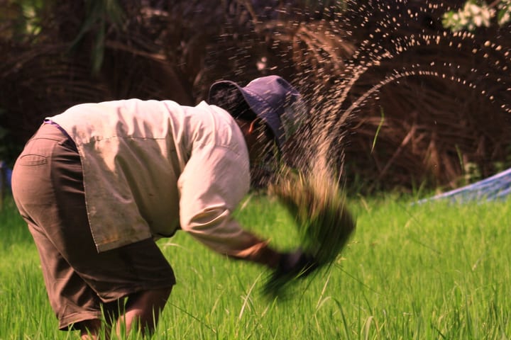 Siem Reap Cambodian Village Half-Day Private Cultural Experience