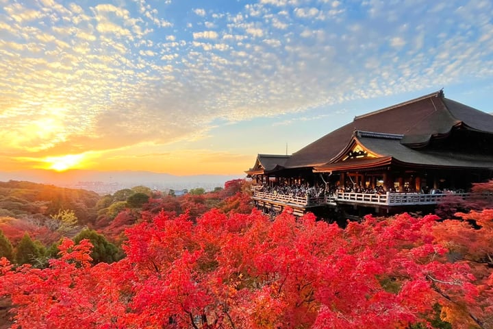 Tur sehari Kyoto & Nara: Kuil Kiyomizu & Fushimi Inari-taisha & Taman Nara (Berangkat dari Osaka/Kyoto)