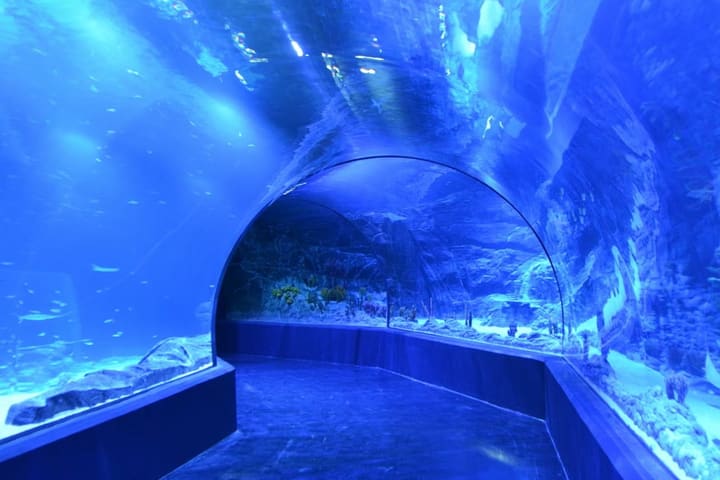 马德里亚特兰蒂斯水族馆门票