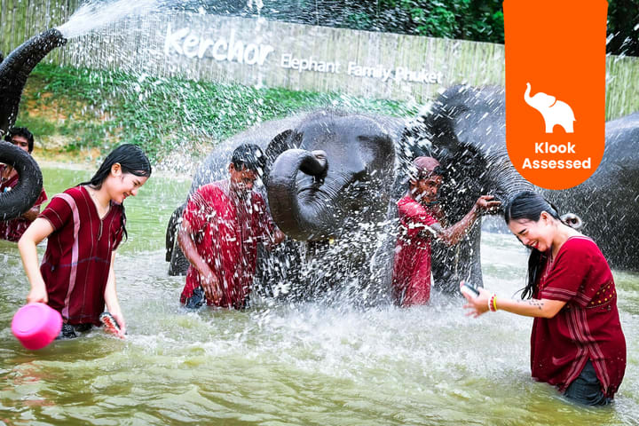 Kunjungan Setengah Hari ke Kerchor Elephant Family Phuket Sanctuary