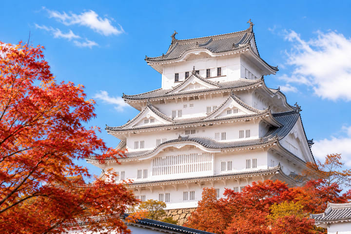世界遗产姬路城 日本三古汤有马温泉 六甲山展望台一日游（大阪出发）