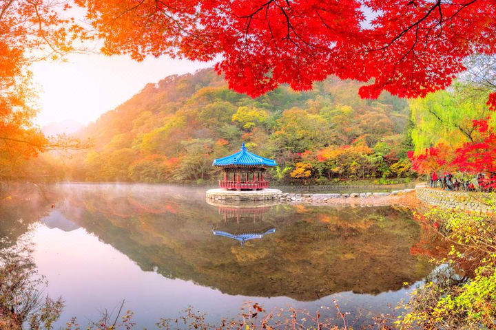 Tur Sehari Daun Musim Gugur di Taman Nasional Naejangsan dari Seoul atau Busan