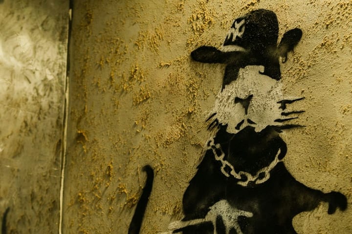 克拉科夫  Muzeum Banksy  门票