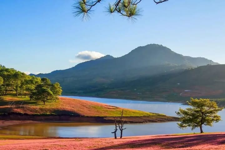 Golden Valley Ticket in Da Lat