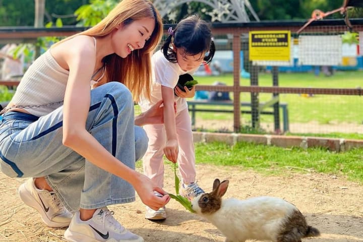 Aktivitas Keluarga - Bunny Wonderland Farm | Yuen Long