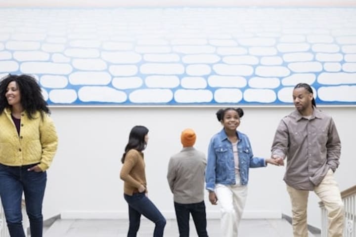 The Art Institute of Chicago Ticket