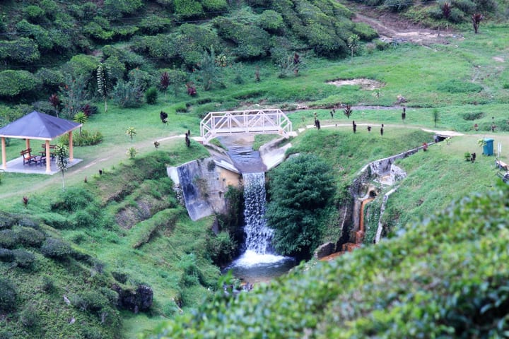 Kuala Lumpur Cameron Highlands Full-Day Private Nature Tour