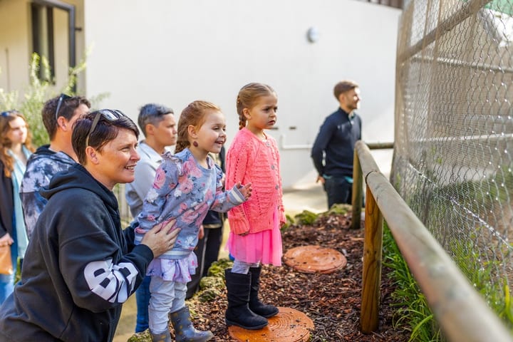 Wildlife Interaction and Hospital Tour di Perth