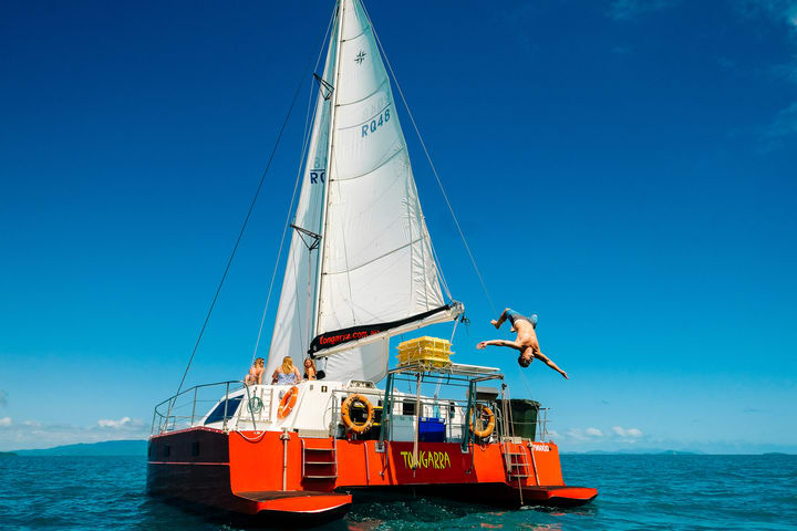 Whitsundays Tongarra Snorkel and Sailing Day Tour dari Airlie Beach
