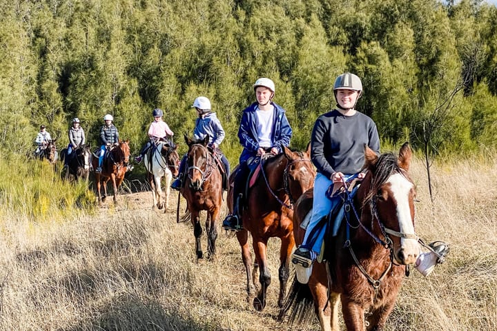 Day Tour dan Pengalaman di Hunter Valley