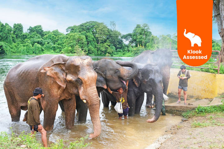 Transportasi Pribadi Kanchanaburi Elephant World dari Bangkok