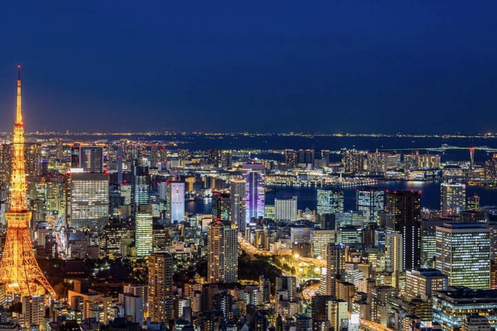 Tokyo Private Chartered Car Day Tour (Customizable Itinerary)