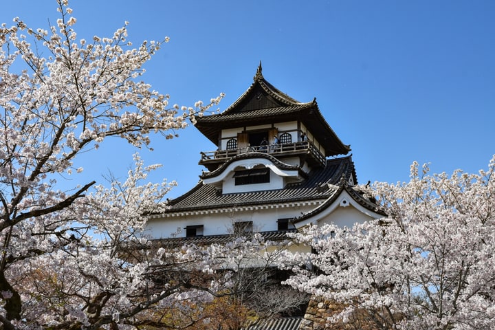 Kastil Inuyama & Ngarai Ena & Magome-juku & Tsumago-juku (Keberangkatan dari Nagoya)