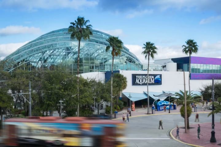 The Florida Aquarium Ticket