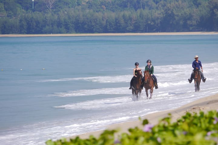 Horseback Riding Experience in Phuket