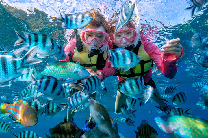 Blue Cave Diving/Snorkeling & Banana Boat Experience di Okinawa