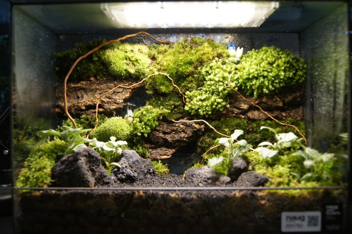 Workshop DIY Terrarium di Johor Bahru