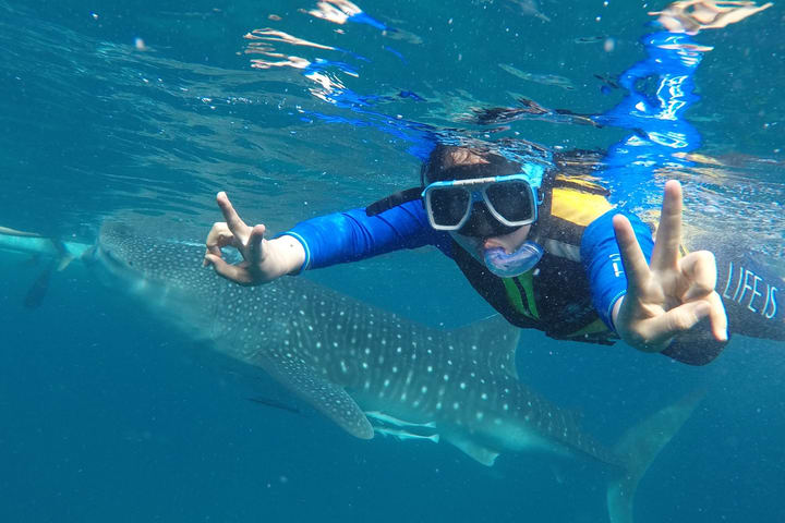 Oslob Whale Shark Watching Join In Day Tour from Cebu