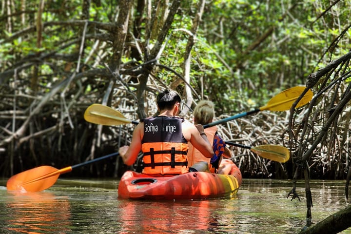 Phuket Half-Day Kayaking & Trekking with Thai Lunch