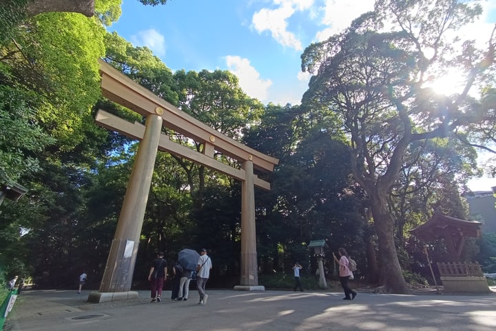 Tokyo Meiji Shrine Cultural Guided Walking Tour