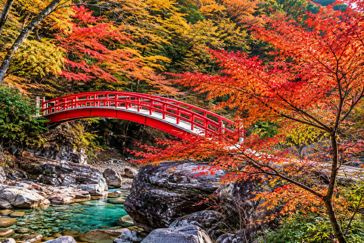 Berangkat dari Nagoya: Jalur Naga Tengah - Tsumago-juku & Magome-juku & Tur Air Terjun Ryujin