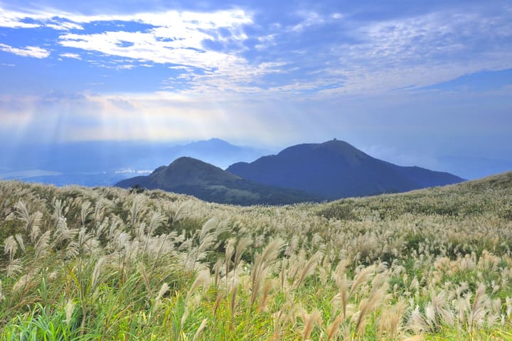 Taipei: Yangmingshan National Park & National Palace Museum Day Tour | Exploring the Treasures of Chinese Culture (Including National Palace Museum Tickets)