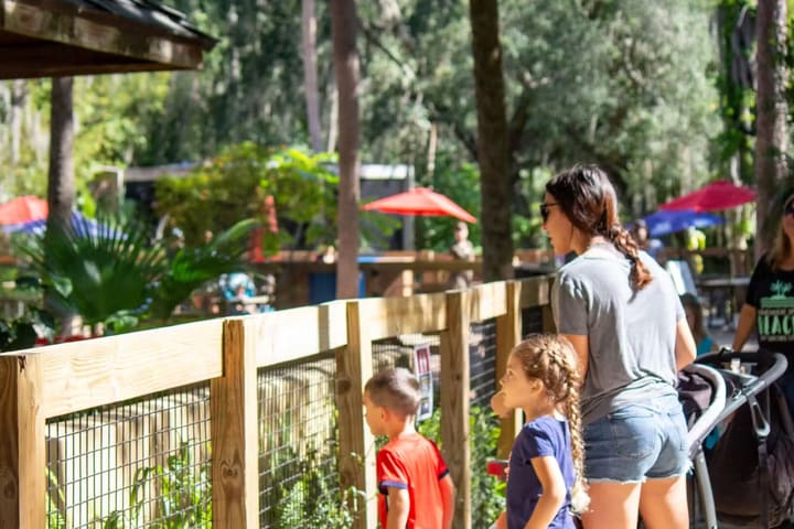 Central Florida Zoo and Botanical Gardens Ticket in Sanford, Florida