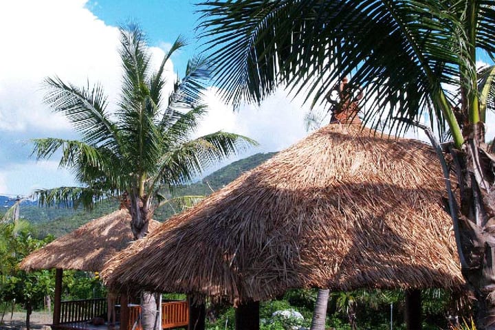 Pingtung: Fennel Love Hot Spring Resort - Aegean Sea SPA Hydrotherapy Pool